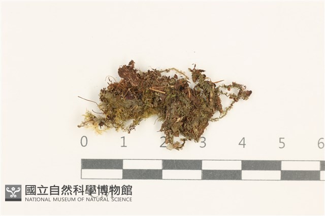 登錄號:B00014089藏品圖，第1張