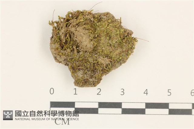登錄號:B00016189藏品圖，第1張