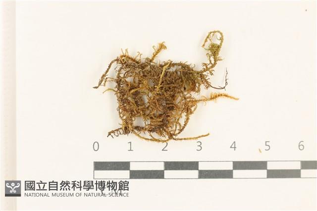 登錄號:B00000489藏品圖，第1張