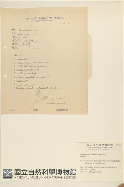 Accession Number:A00004989 Collection Image, Figure 3, Total 4 Figures