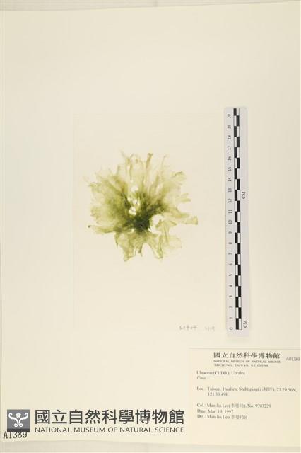 登錄號:A00001389藏品圖，第1張