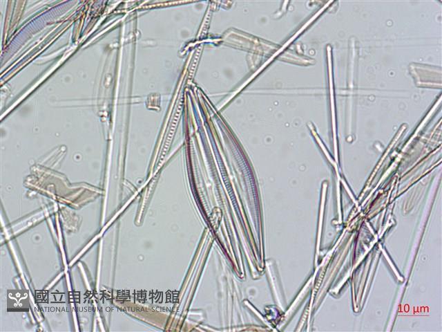 登錄號:A00004636藏品圖，第4張