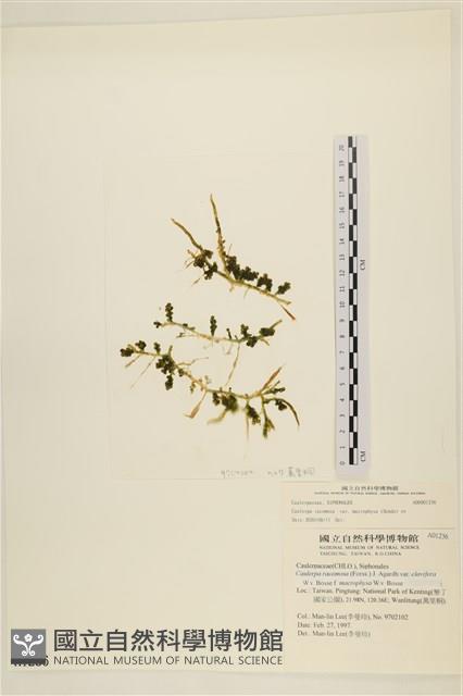 登錄號:A00001236藏品圖，第1張