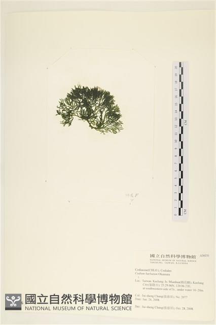登錄號:A00006036藏品圖，第3張