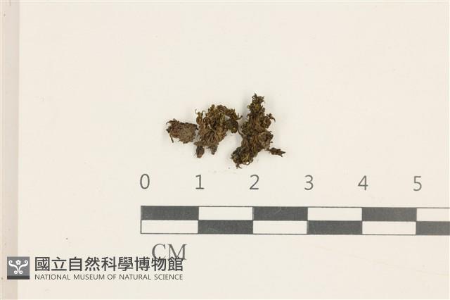 登錄號:B00014036藏品圖，第1張