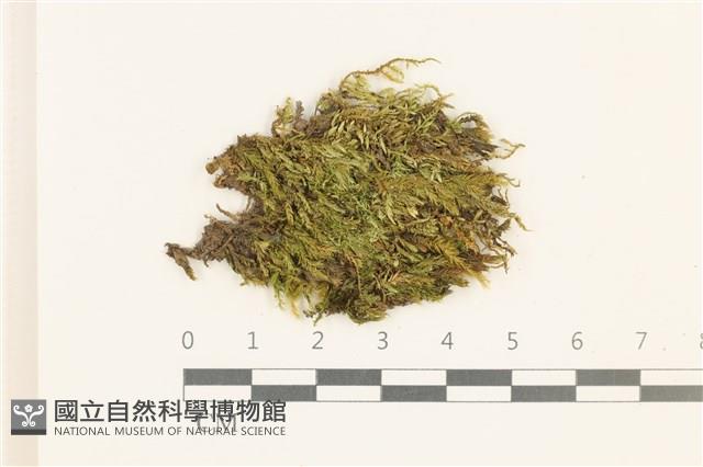 登錄號:B00015136藏品圖，第1張