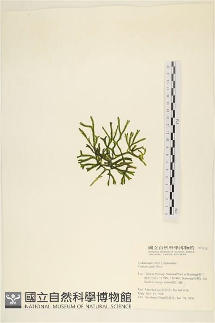 登錄號:A00001136藏品圖，第1張