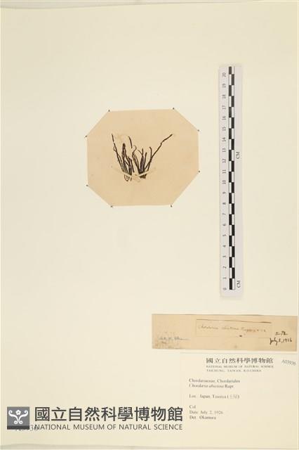 登錄號:A00003936藏品圖，第3張