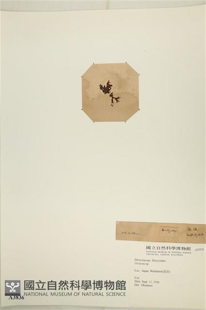 登錄號:A00003836藏品圖，第3張