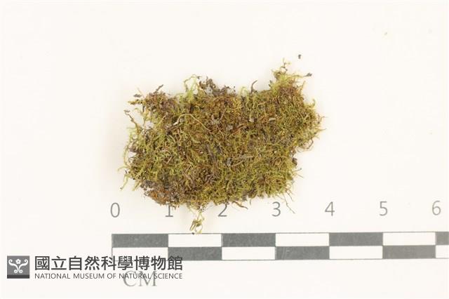 登錄號:B00014656藏品圖，第1張