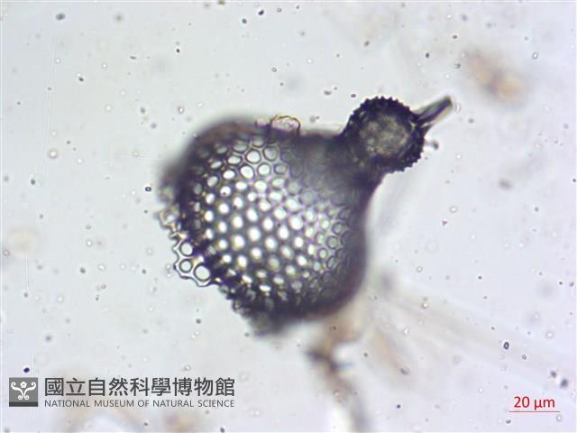 登錄號:A00004656藏品圖，第4張