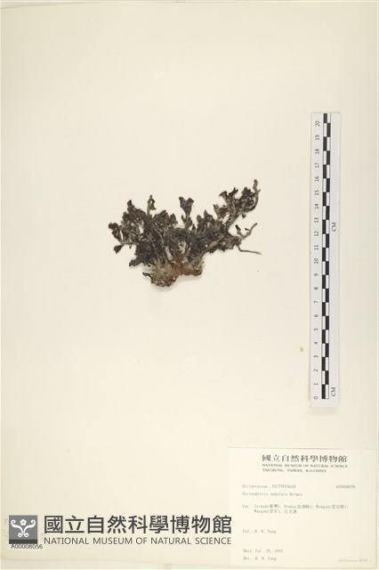 登錄號:A00008056藏品圖，第3張