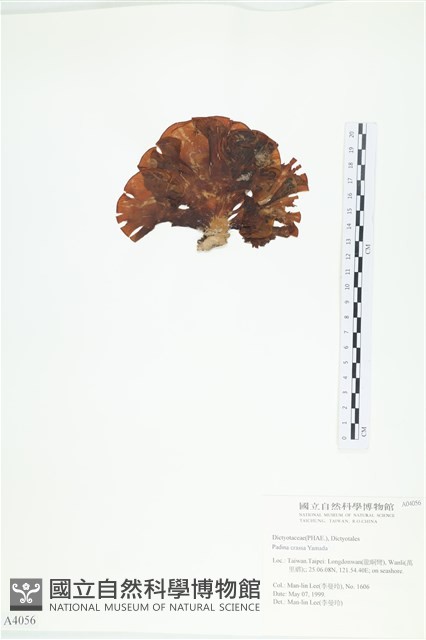 登錄號:A00004056藏品圖，第3張