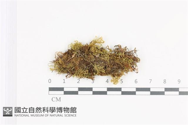 登錄號:B00007056藏品圖，第1張