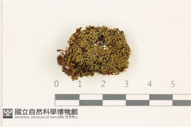 登錄號:B00018156藏品圖，第1張