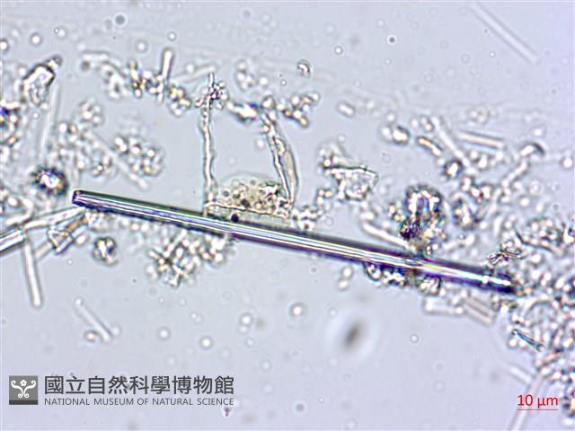登錄號:A00004556藏品圖，第4張