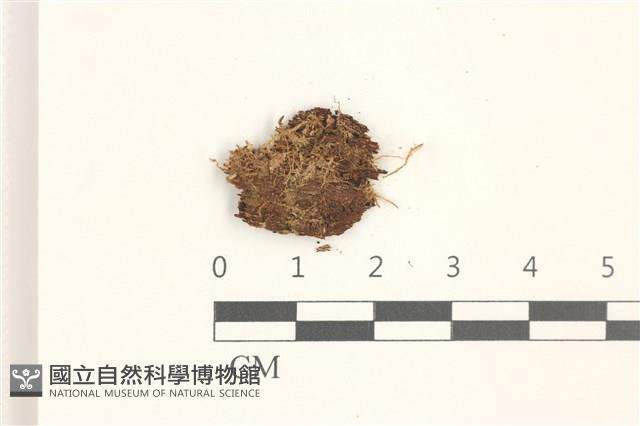 登錄號:B00019456藏品圖，第1張