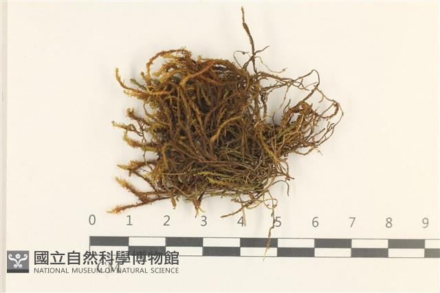 Accession Number:B00003456 Collection Image, Figure 1, Total 2 Figures