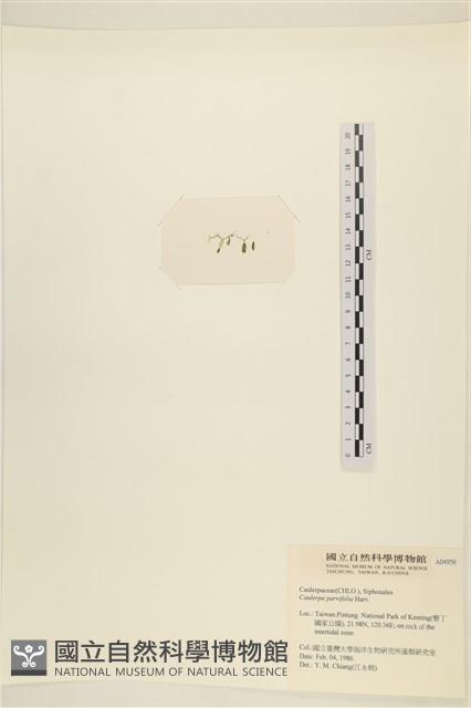 登錄號:A00004956藏品圖，第3張