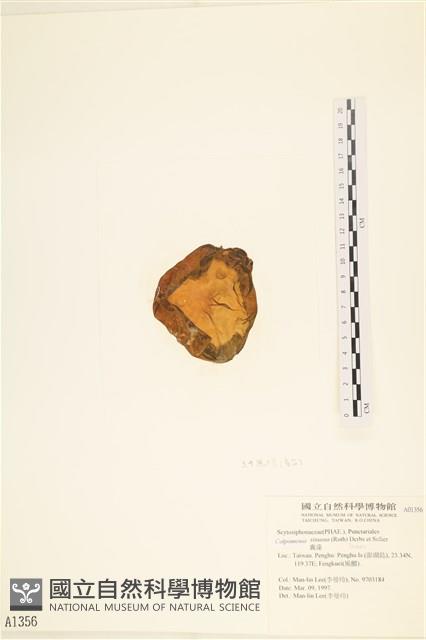 登錄號:A00001356藏品圖，第3張