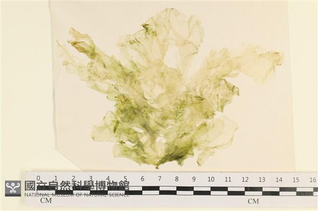 登錄號:A00006756藏品圖，第1張