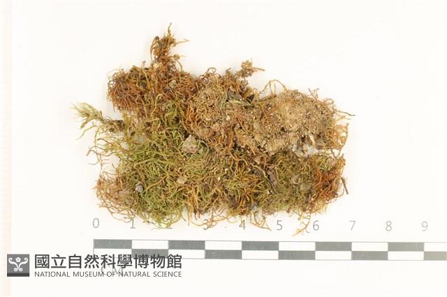 登錄號:B00017226藏品圖，第1張