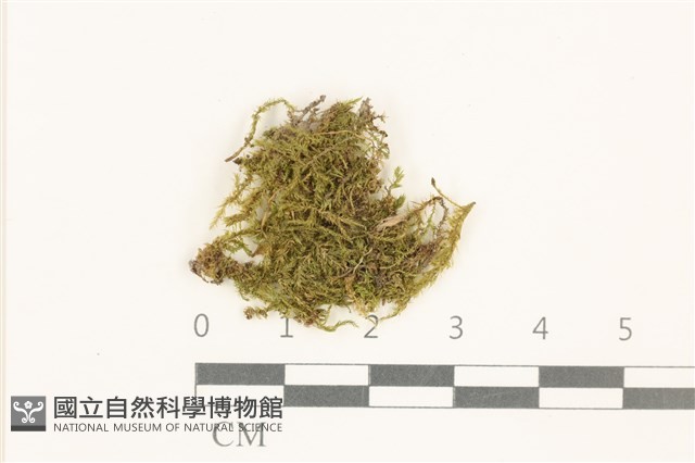 登錄號:B00015126藏品圖，第1張