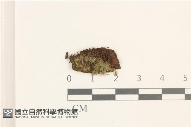 登錄號:B00005126藏品圖，第1張