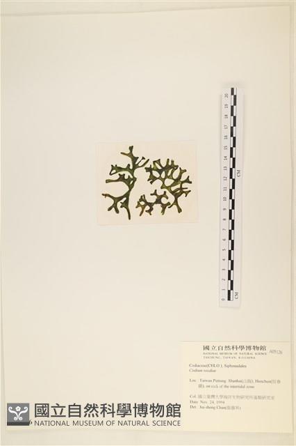 登錄號:A00005126藏品圖，第3張