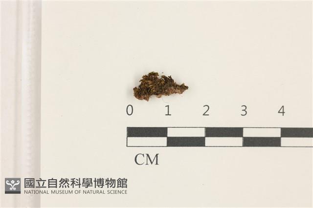 登錄號:B00003526藏品圖，第1張