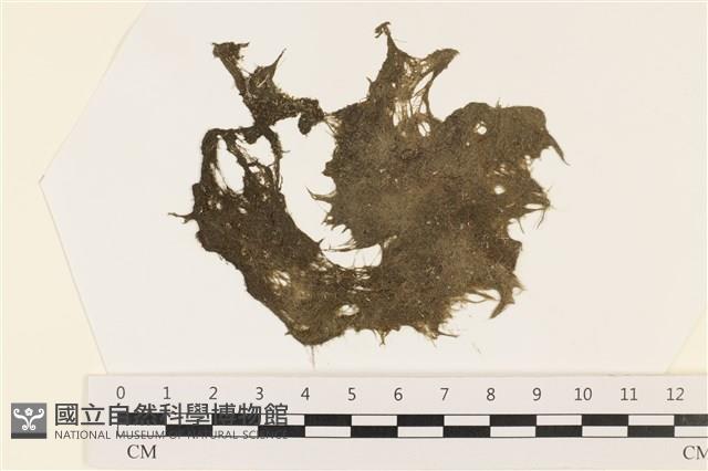 登錄號:A00002426藏品圖，第1張