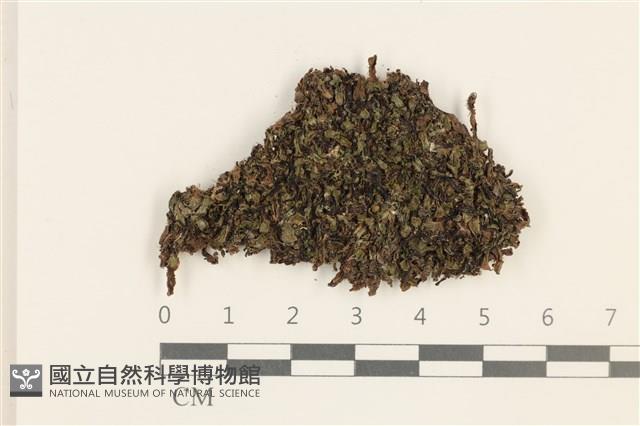 登錄號:B00014426藏品圖，第1張