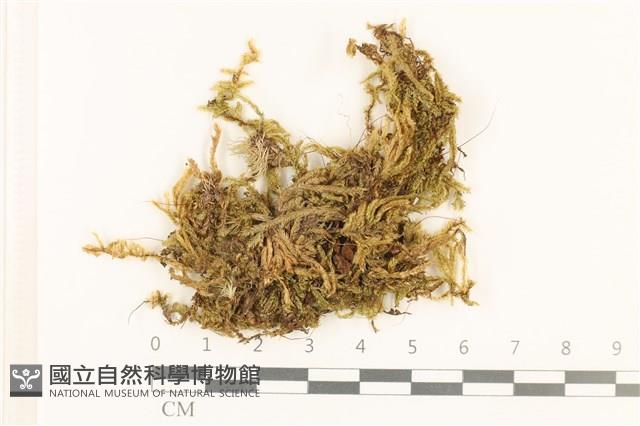 登錄號:B00000426藏品圖，第1張