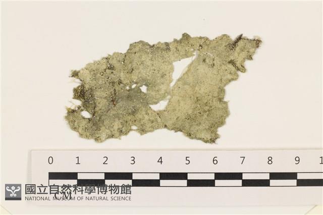 登錄號:A00003426藏品圖，第1張