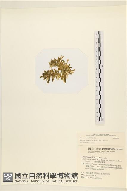 登錄號:A00004926藏品圖，第3張