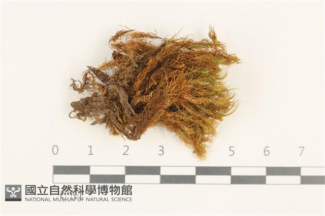 登錄號:B00008326藏品圖，第1張