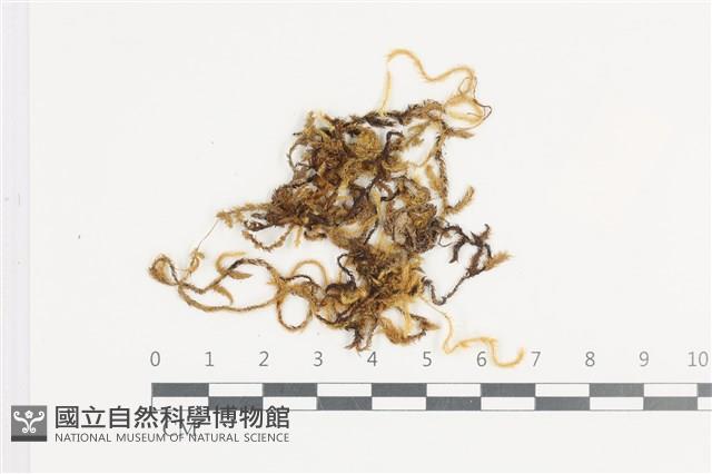 登錄號:B00004726藏品圖，第1張