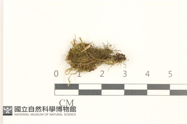 登錄號:B00019676藏品圖，第1張