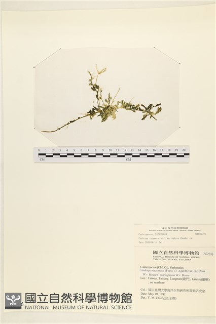 登錄號:A00002276藏品圖，第1張