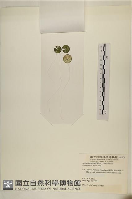 登錄號:A00005076藏品圖，第3張