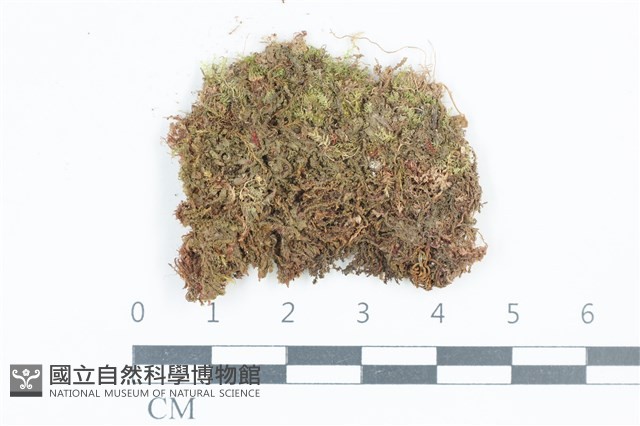 登錄號:B00015176藏品圖，第1張