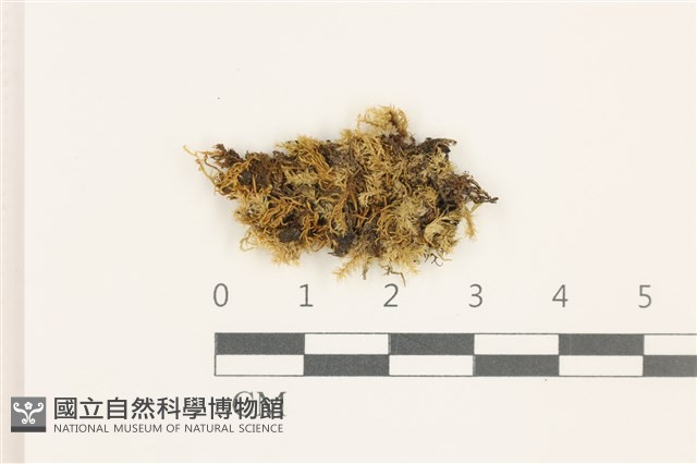 登錄號:B00009576藏品圖，第1張