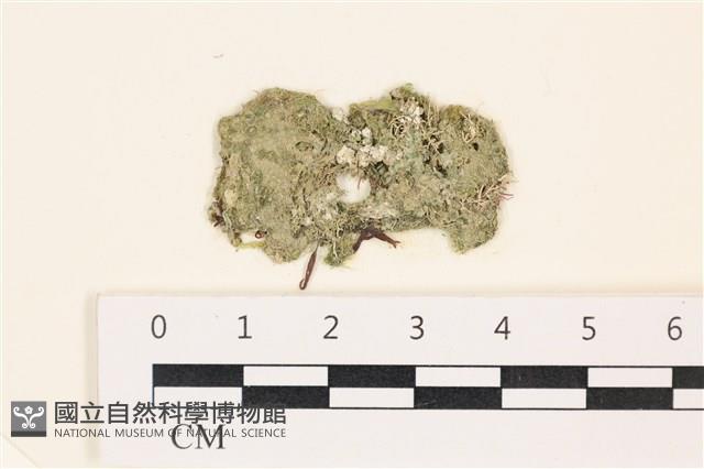 登錄號:A00002476藏品圖，第1張