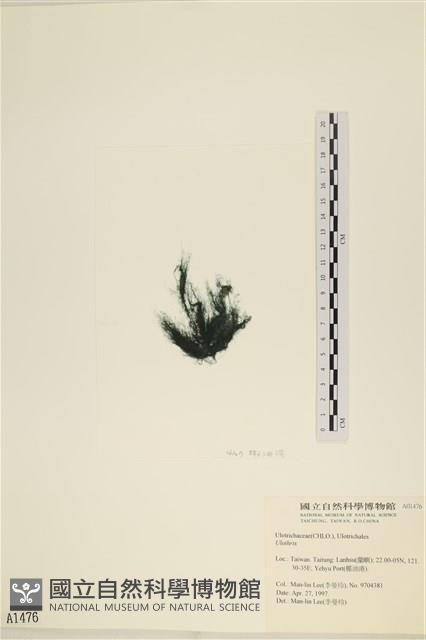 登錄號:A00001476藏品圖，第3張
