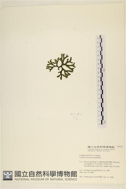 登錄號:A00005976藏品圖，第3張