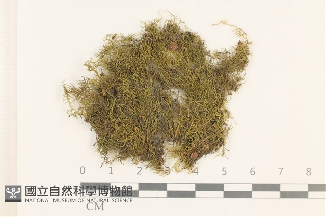 登錄號:B00000376藏品圖，第1張
