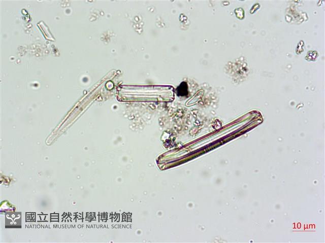 登錄號:A00004616藏品圖，第4張