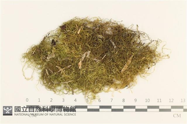 登錄號:B00004116藏品圖，第1張