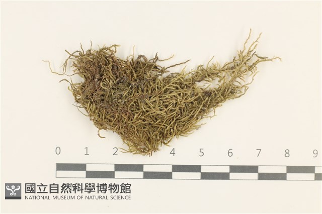 登錄號:B00015116藏品圖，第1張