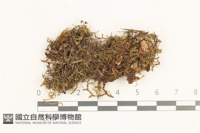 登錄號:B00019516藏品圖，第1張